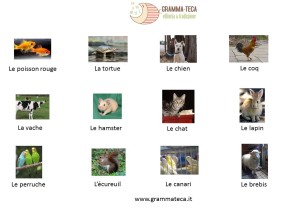 les animaux_presentazione lessico_grammateca